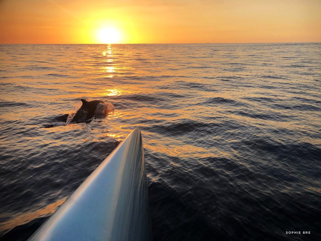 MOONWAVE's Fuel-free Cruising - Multihulls World